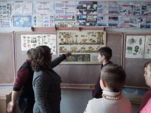 заняття з питань безпеки життєдіяльності небезпека отруєнь грибами